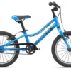 2020 Giant ARX 16 Childs Bike In Blue 2 2020 Giant ARX 16 Childs Bike In Blue -Bicycle Promotion Shop arx16 1