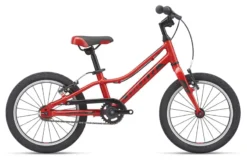 2020 Giant ARX 16 Childs Bike In Red