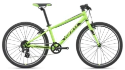 2020 Giant ARX 24 Childs Bike In Green