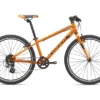 2021 Giant ARX 24 Kids Bike In Orange