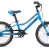 2019 Giant ARX 16 KidsBike In Blue -Bicycle Promotion Shop my19arx16 colord