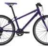 2020 Giant ARX 24 Childs Bike In Purple