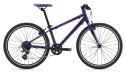 2020 Giant ARX 24 Childs Bike In Purple