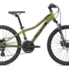 2020 Giant XtC Jr Disc 24 Childs Mountain Bike In Green