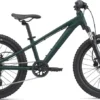 Giant STP 20 Kid's Mountain Bike In Trekking Green