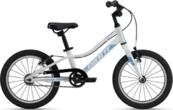 Giant ARX 16 F/W Kid's Bike In Snow Drift