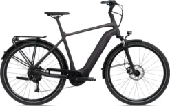Giant DailyTour E+ 3 GTS Electric Bike In Rosewood
